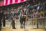 La gallery della quarta prova e della prova generale di Benedetta Aucone